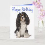 Cartão Cute Dog King Charles Cavalier Spaniel Birthday<br><div class="desc">Sending birthday greetings to family and friends has never been easier than with this cute King Charles Cavalier Spaniel puppy dog birthday card. Dog birthday cards are great for * dog rescue and adoption programs * dog businesses - breeders, groomers, trainers, vets, walkers * personal use * fundraisers and charities...</div>