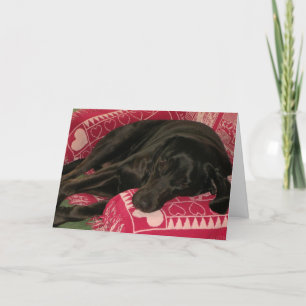Cartão Cute Dog "Miss You" Greeting Card