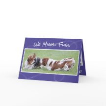 Cute & Funny Anniversary Card w/Basset Hounds
