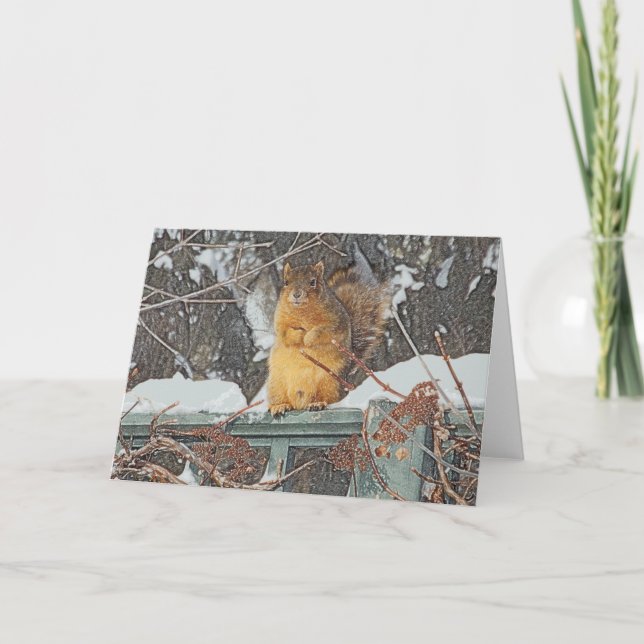 CARTÃO "CUTE, FURRY SQUIRREL" BLANK GREETING CARD (Frente)