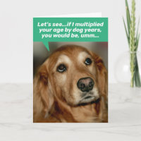 Cute Golden Retriever Multiplying Age By Dog Years