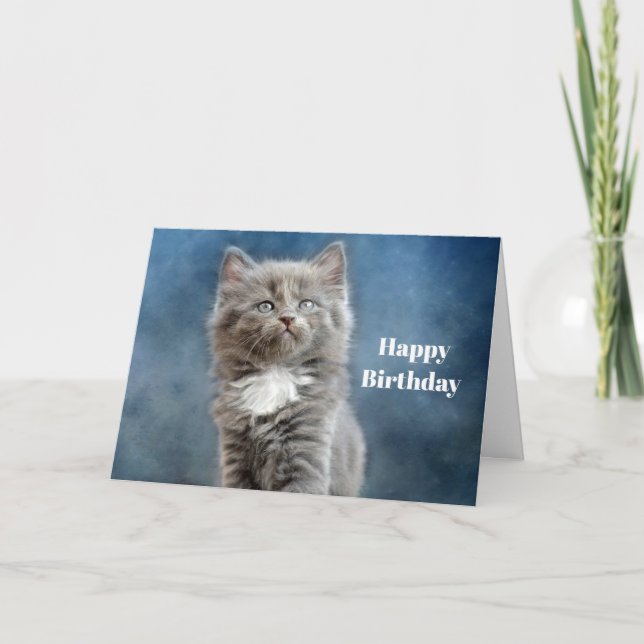 Cartão Cute Gray and White Kitten Photo Birthday (Frente)