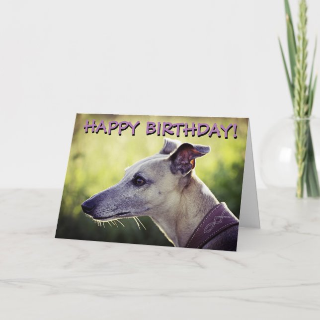 Cartão Cute greyhound customized greetings card (Frente)