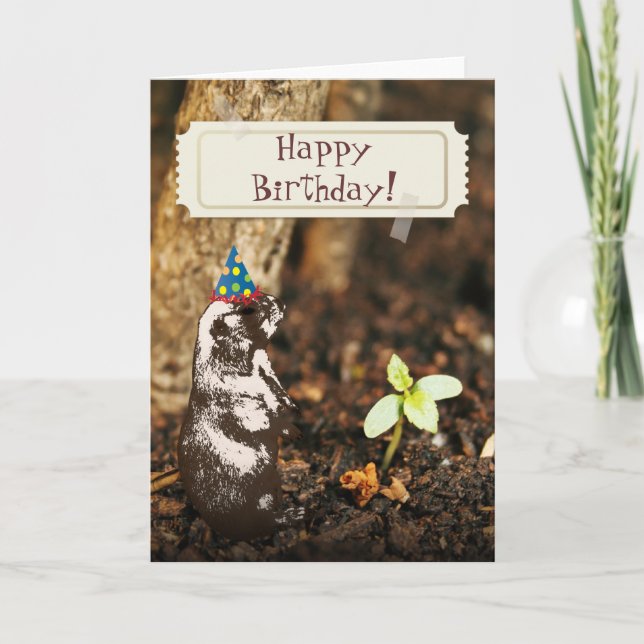 Cartão Cute Groundhog Birthday Card (Frente)