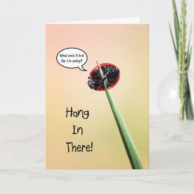 Cartão Cute Hang In There Ladybug (Frente)