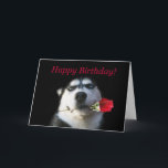 Cartão Cute Happy Birthday to My Favorite Brother in Law<br><div class="desc">A fun way to express Happy Birthday wishes to your favorite brother in law.  A cool husky dog,  holding a rose.  Super fun card.</div>
