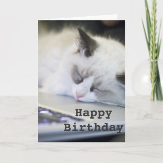 Cartão Cute Kitten Asleep Happy Birthday Card