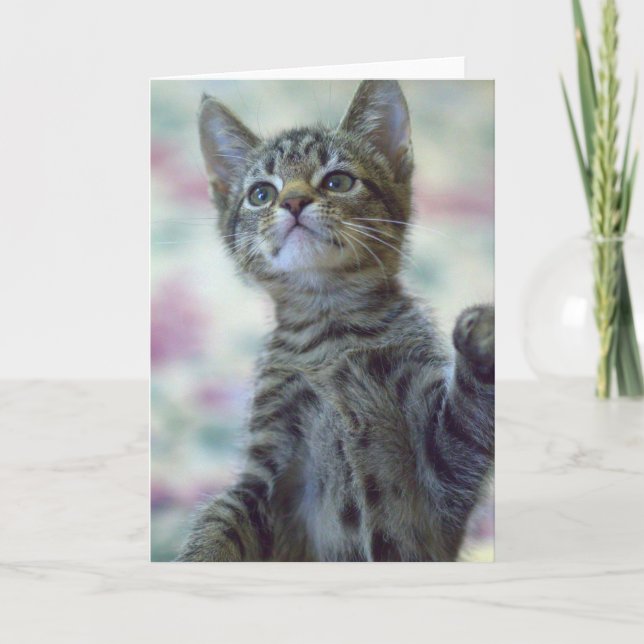 Cartão Cute Kitten Greeting Card (Frente)
