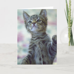 Cartão Cute Kitten Greeting Card
