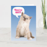 Cartão Cute Kitten You're 60?! Birthday Customizable Age<br><div class="desc">This cute kitten with a surprised look on her face asks the question,  "You're 60?!" (or change it to whatever age is appropriate). Inside the copy reads,  "I'd bury that secret deeper than my poop." Fun birthday card for cat lovers.</div>