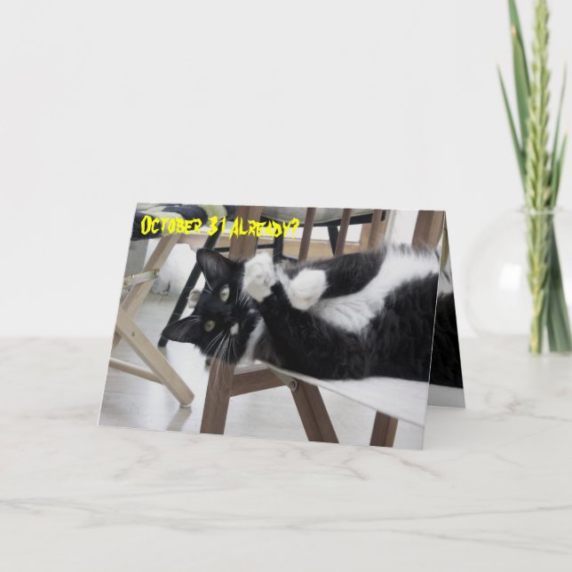 Cartão Cute Kitty (Not) Hallowe'en card (Frente)