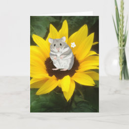 Cartão Cute Little Hamster Sitting In Yellow Sunflower