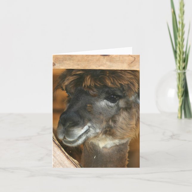 Cartão Cute Llama Farm Animal Photography Note (Frente)