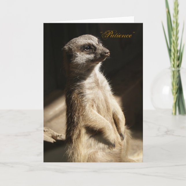 Cartão Cute Meerkat "Patience" Any Occasion Greeting Card (Frente)
