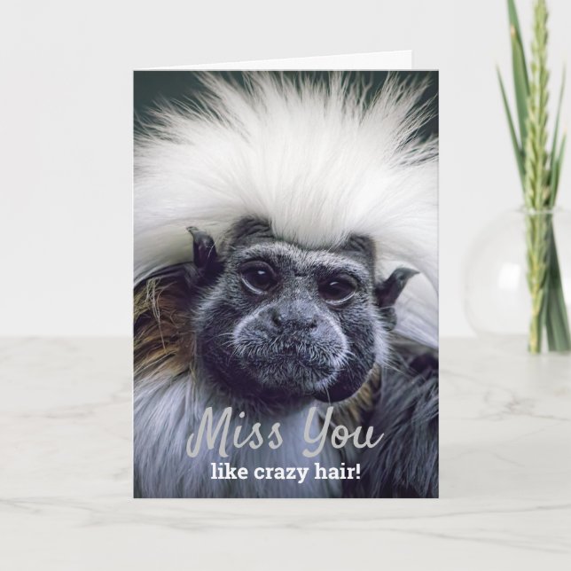 Cartão Cute Missing You Bad Hair Day Tamarin Monkey (Frente)