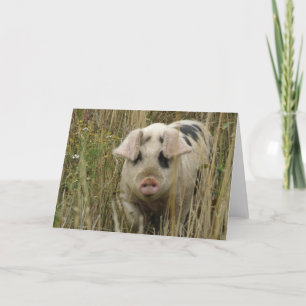 Cartão Cute Pig Greeting Card
