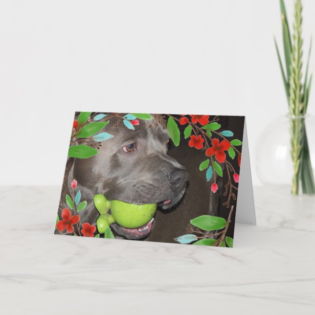 Cartão Cute Pitbull Terrier com Moldura de Flor Vermelha (Frente)