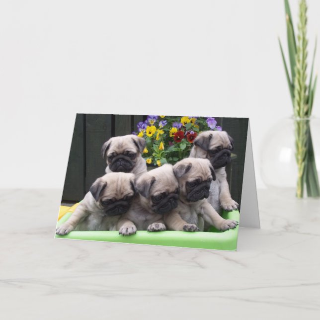 Cartão Cute Pug Puppy birthday card (Frente)