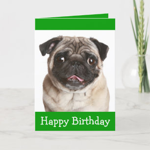 Cartão Cute Pug Puppy Dog Happy Birthday Greeting Card