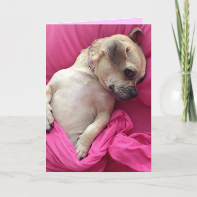 Cartão Cute Puppy Dog Chug in Pink Sheets Greeting Card (Frente)