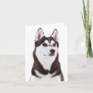Cartão Cute Puppy Dog Lover Siberian Husky Hello Card