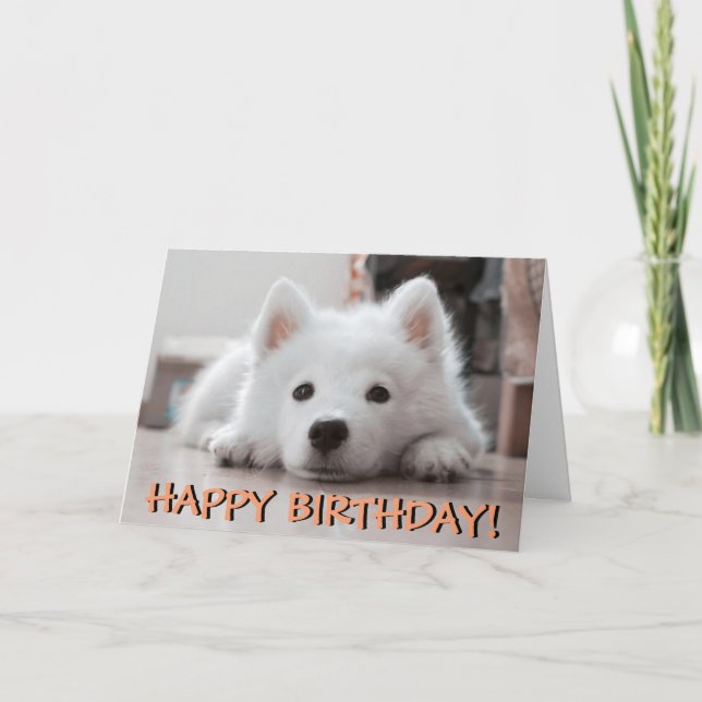 Cartão Cute puppy photo birthday card (Frente)