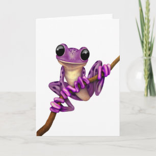 Cartão Cute Purple Tree Frog on a Branch on White