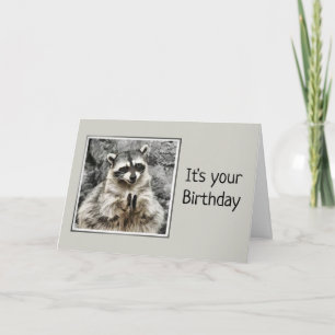 Cartão Cute Raccoon Clapeando Humor de Aniversário