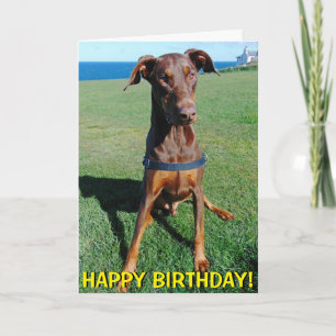 Cartão Cute red doberman birthday card