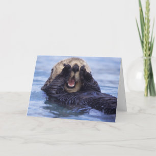 Cartão Cute Sea Otter   Alaska, USA
