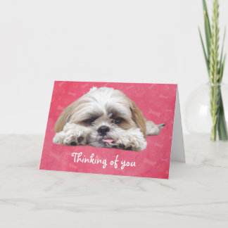 Cartão Cute Shih Tzu Puppy: Pensando em você