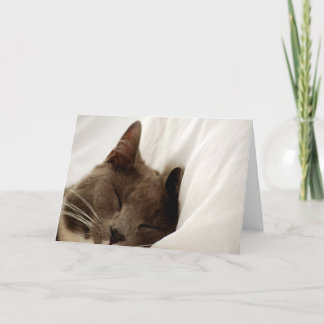 Cartão Cute Sleeping Cat Blank Greeting Card