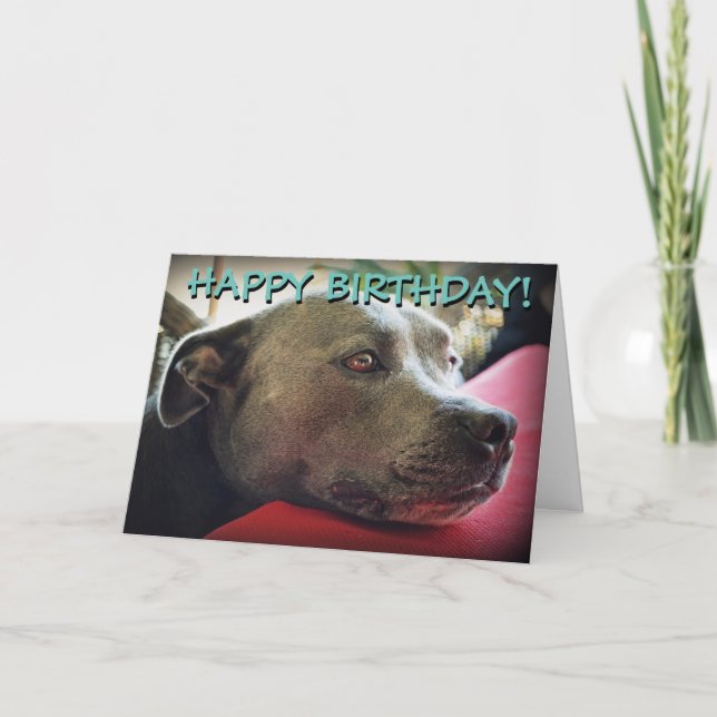 Cartão Cute staffy customized greetings card (Frente)