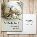 Cartão Cute Upside Down Cat Birthday<br><div class="desc">On the front of this birthday card, a gray tiger striped cat lies upside down, looking at you with green eyes. The text says "Another birthday? Well, look at it this way... " The inside text says "... You're not as old as you will be next year! Happy Birthday!" All...</div>