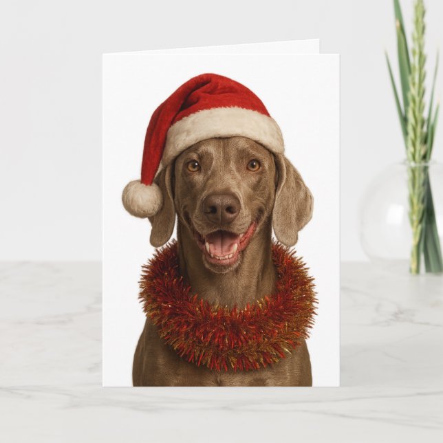 Cartão Cute Weimaraner Christmas card (Frente)