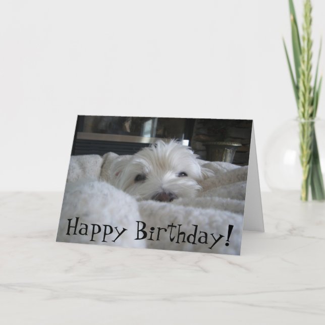 Cartão Cute Westie Face Photo Greeting Card (Frente)