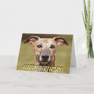 Cartão Cute whippet birthday card