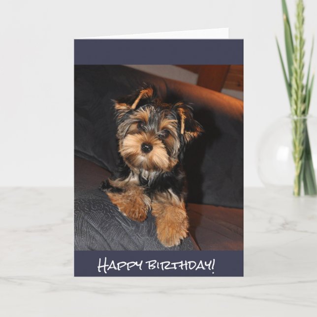Cartão Cute Yorkshire Terrier, Happy birthday! (Frente)