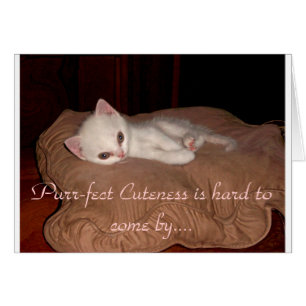 Cartão Cuteness de Purrfect