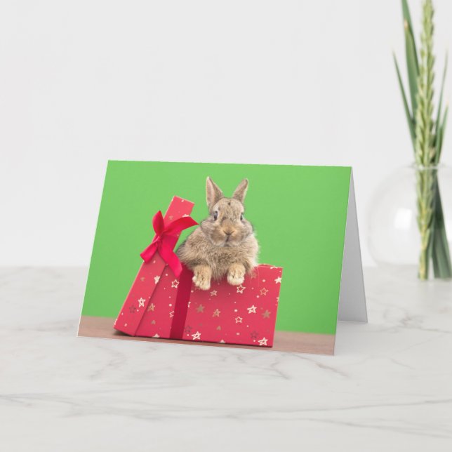 Cartão Cutest Baby Animals | Christmas Holiday Bunny (Frente)