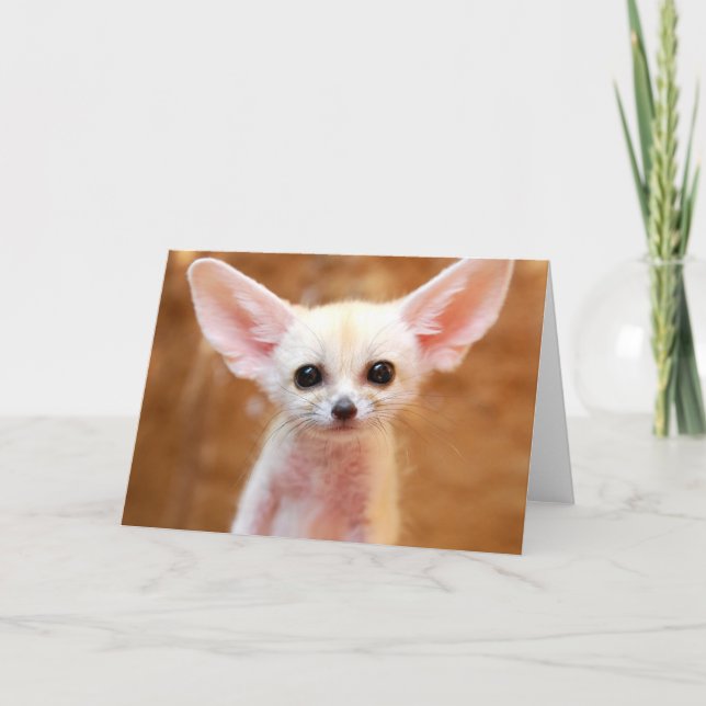 Cartão Cutest Baby Animals | Fennec Fox (Frente)