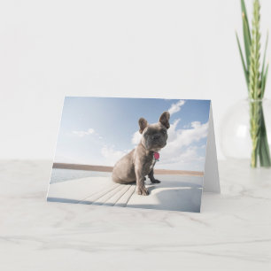 Cartão Cutest Baby Animals French Bulldog Boating