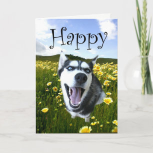 Cartão Cutest Husky Dog Happy Birthday Card