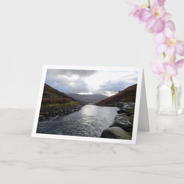 Cartão Cwm Llan, Snowdonia, País de Gales, Reino Unido (Orquídea)