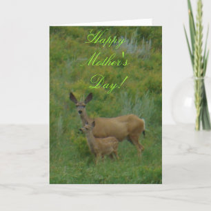 Cartão D5 Mule Deer Doe and Fawn