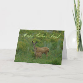 Cartão D5 Mule Deer Doe and Fawn