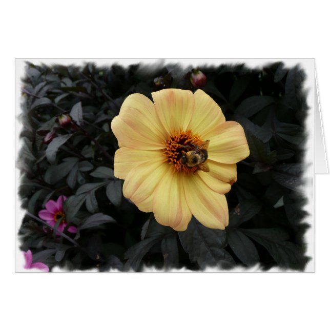 Cartão da abelha da margarida (Frente Horizontal)