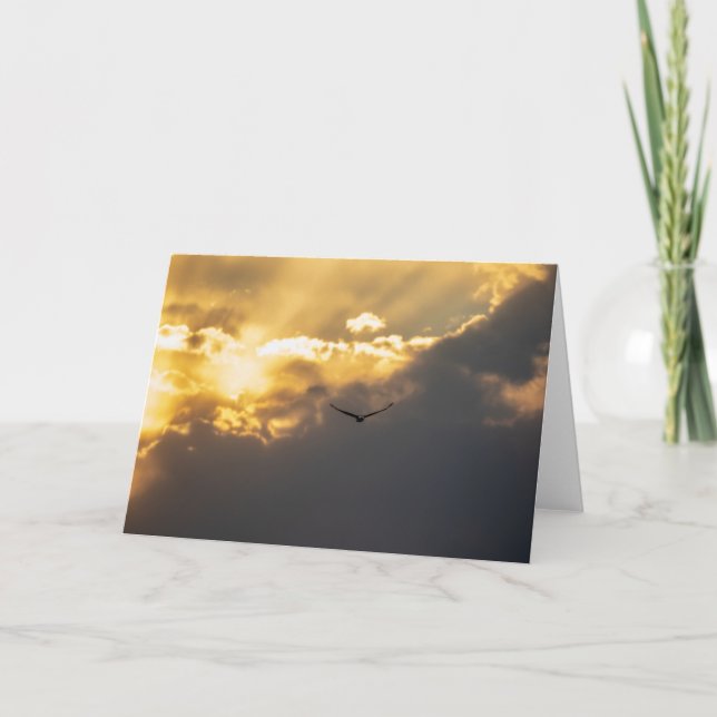 Cartão Da Águia Solar (Frente)