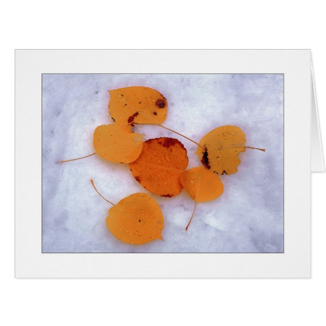Cartão Da "álamos tremedores neve " (Frente horizontal)