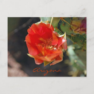 Cartão da arizona